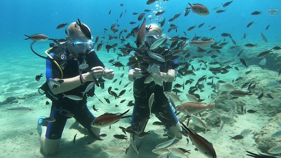 Heraklion: Beginner Scuba Diving Lesson with PADI Instructor - Who This Beginner Scuba Lesson Is Best For