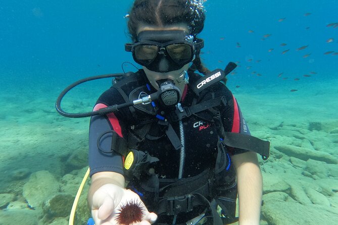 Heraklion: Scuba Diving Experience for Beginners - The 30-minute lesson: what you should expect to learn