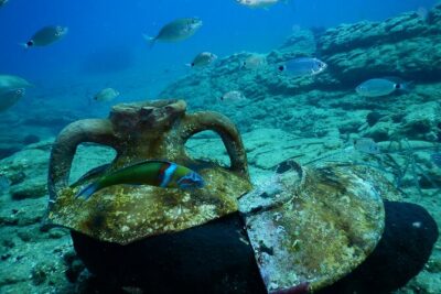 Heraklion: Scuba Diving Experience for Beginners - Underwater skills you’ll practice before the fun part