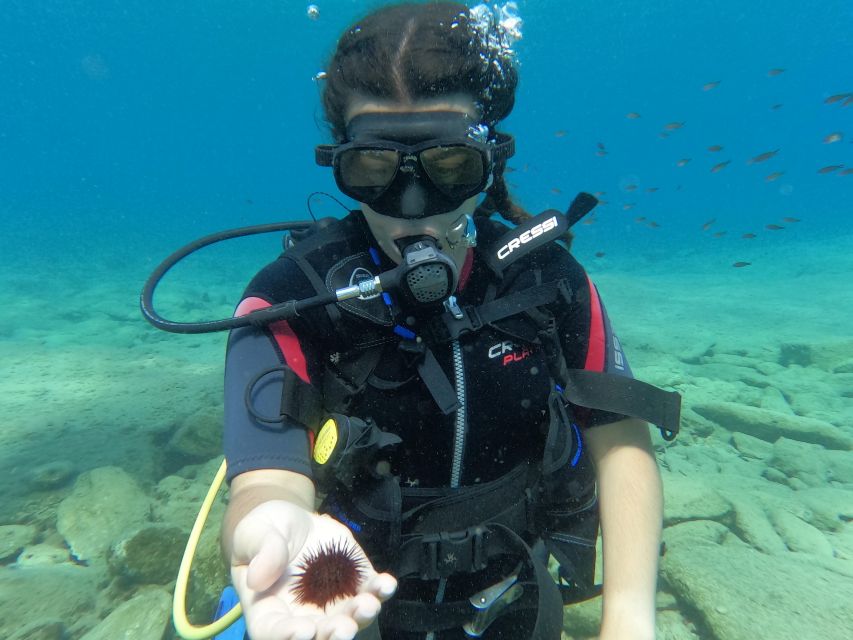 Heraklion: Scuba Diving Experience for Beginners _Beach - What to Bring: Small Stuff That Changes Your Day