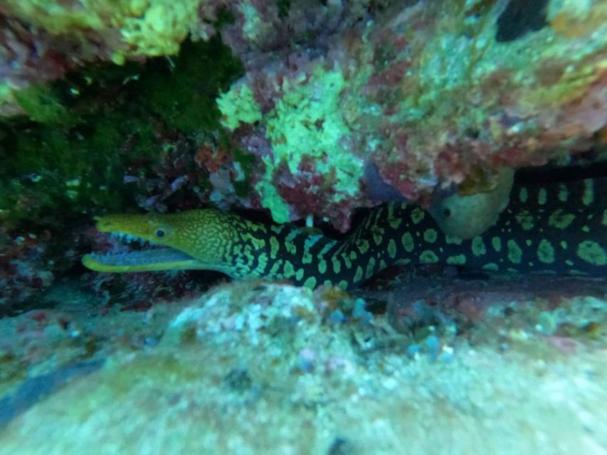 Heraklion: Scuba Diving Experience for Beginners _Beach - Equipment and What’s Included (and What’s Not)