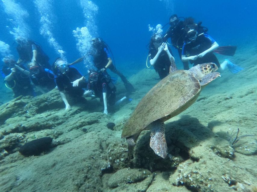 Heraklion: Scuba Diving Experience for Beginners _Beach - Who Should Book It (and Who Should Skip)