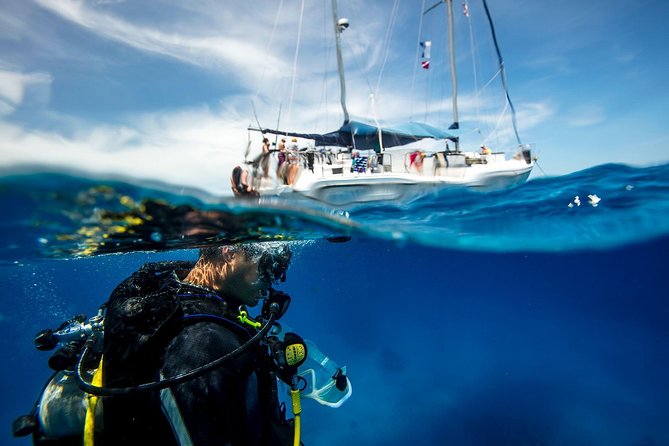 Heraklion: Scuba Diving Experience for First-Timers - Key things that make this Heraklion first-time scuba setup work