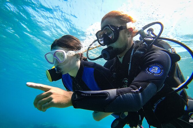 Heraklion: Scuba Diving Experience for First-Timers - Photos in the mix: how to get the images you want