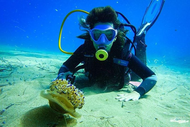 Heraklion: Scuba Diving Experience for First-Timers - Price check: is $82 worth it for a first-timer day?