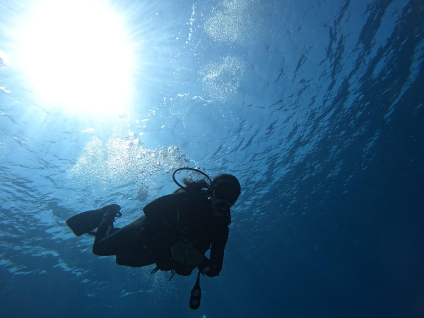 Heraklion: Try Scuba Diving For Beginners (1 dive) - Key things to know before you go
