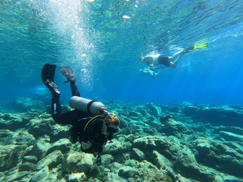 Heraklion: Try Scuba Diving For Beginners (1 dive) - Safety and comfort for beginners: what the instructors actually do