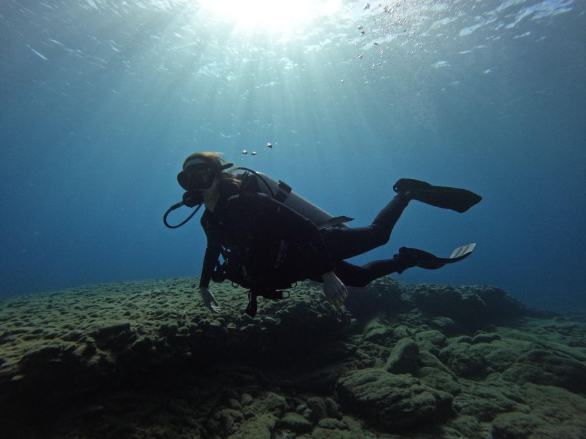 Heraklion: Try Scuba Diving For Beginners (1 dive) - Languages, audio guide, and what to expect if your comfort language differs