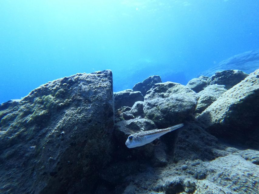 Heraklion: Try Scuba Diving For Beginners (1 dive) - Medical questionnaire and who should not book