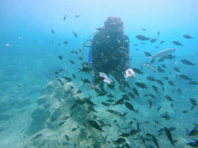 Hersonissos, Stalida: Scuba Diving Experience for beginners - Where you meet at Nana Golden Beach, and how the morning runs