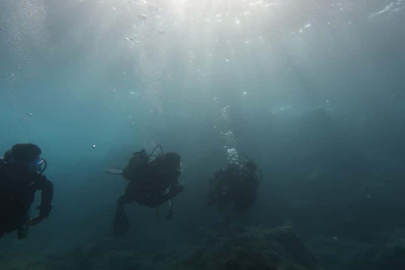 Hersonissos, Stalida: Scuba Diving Experience for beginners - The shore session in the Cretan Sea: what to expect