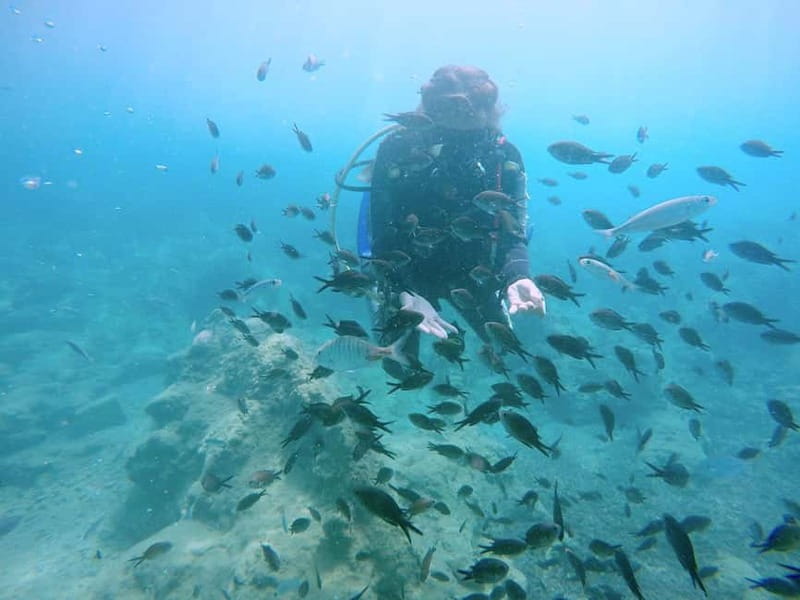 Hersonissos, Stalida: Scuba Diving Experience for beginners - Where you meet at Nana Golden Beach, and how the morning runs