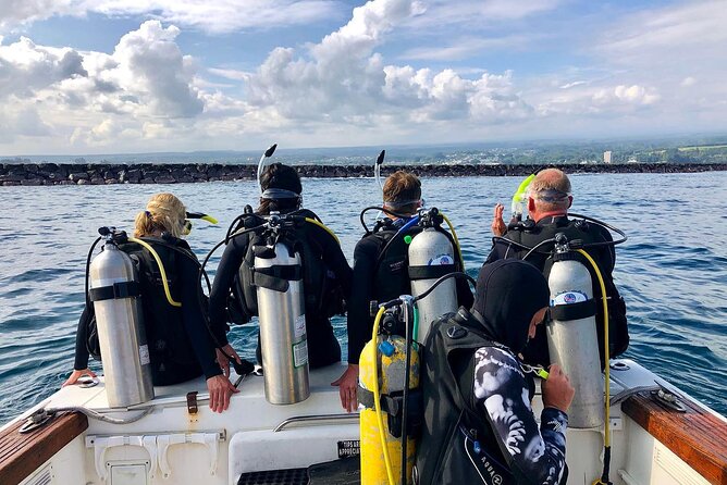 Hilo's Remote Tropical Reef 2 Tank Boat Dive - Marine Life Odds: Dolphins, Manta Rays, Turtles, and Winter Whales