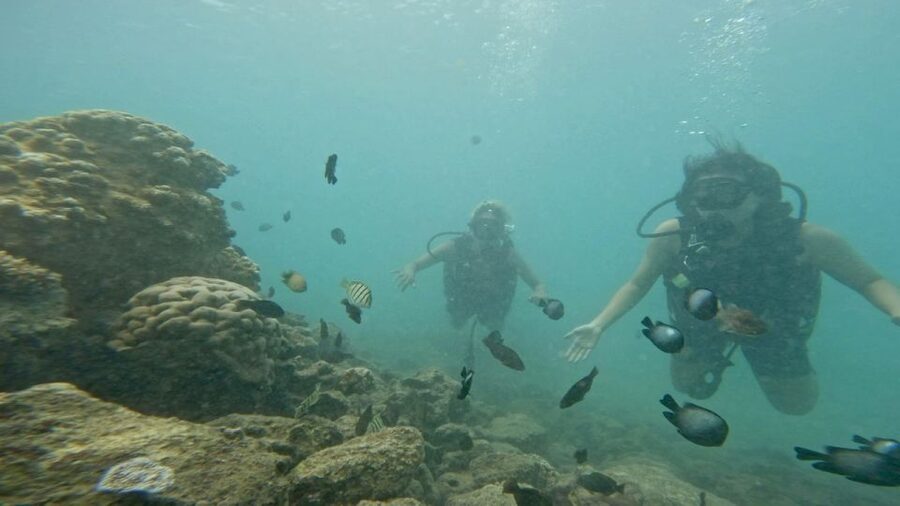 Honolulu: Beginner Scuba Diving Tour With Free Videos - What’s Included for $89 (And Why It’s Good Value for Beginners)