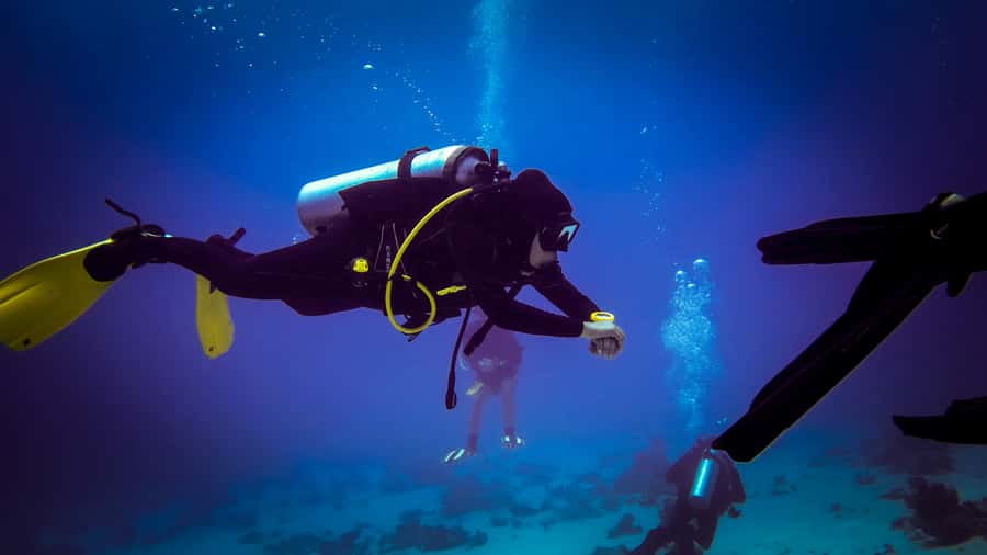 Hurghada: 1, 2, 3, 4, or, 5-Day Scuba Diving Package - How the day starts: hotel pickup to The Pure Coastal center