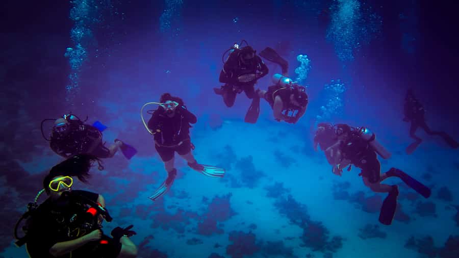 Hurghada: 1, 2, 3, 4, or, 5-Day Scuba Diving Package - Price and logistics: what $58 covers, and what to budget for
