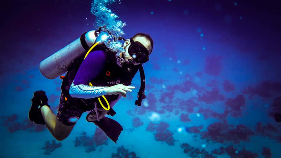 Hurghada: 1, 2, 3, 4, or, 5-Day Scuba Diving Package - Choosing 1, 2, 3, 4, or 5 days: how the schedule really changes