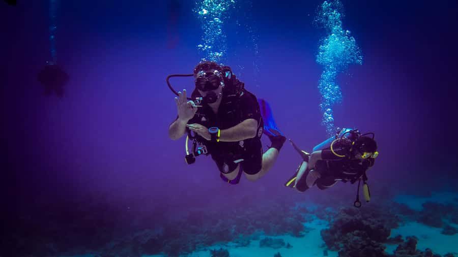 Hurghada: 1, 2, 3, 4, or, 5-Day Scuba Diving Package - Who this Hurghada package suits (and who should skip it)