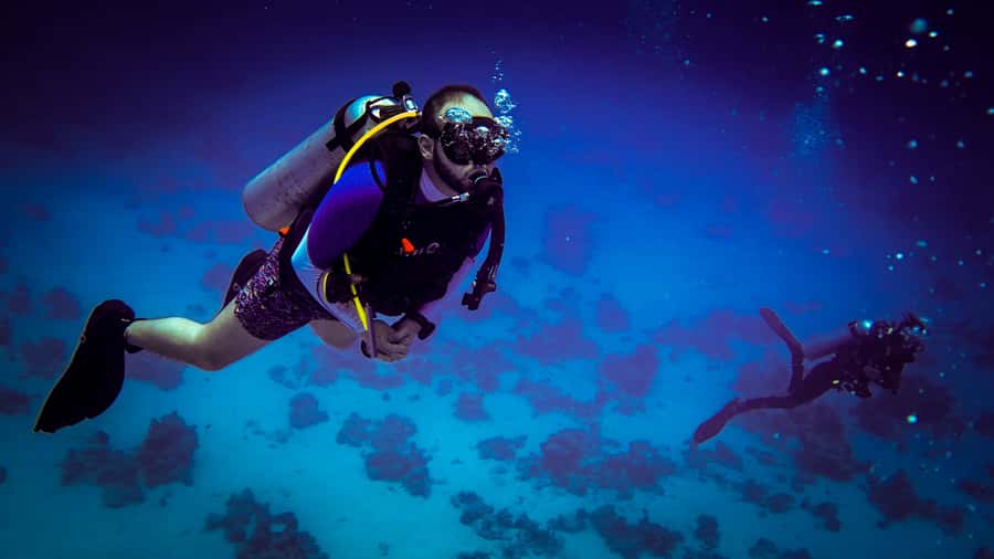 Hurghada: 1, 2, 3, 4, or, 5-Day Scuba Diving Package - Your underwater sessions: two reef visits chosen for conditions