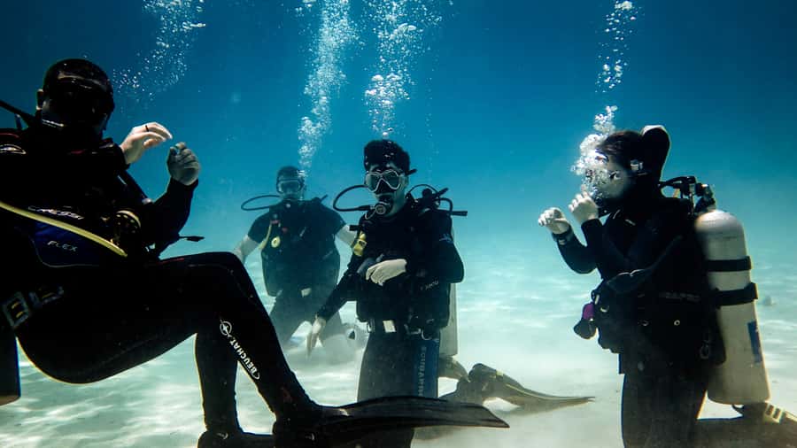 Hurghada: 3-Day PADI Open Water Diving Course - Hurghada and the Red Sea: why it works for a first certification