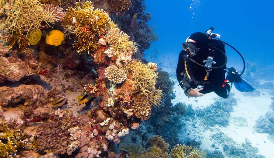 Hurghada: 3-Day PADI Open Water Diving Course - Price and value check: what $412 buys, and what can add up