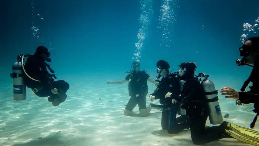 Hurghada: 3-Day PADI Open Water Diving Course - Course setup: small-group coaching, full equipment, and real instruction