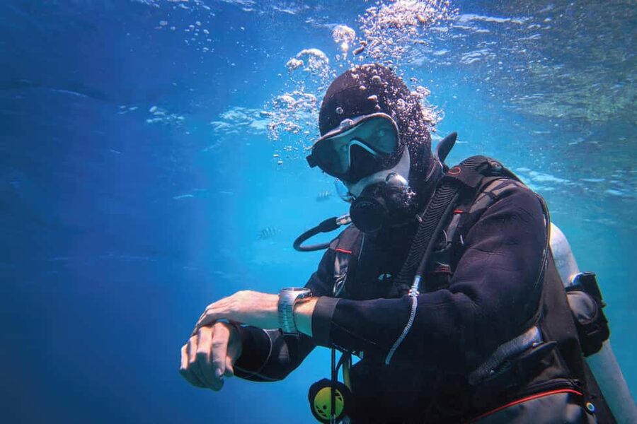 Hurghada: Beginners Scuba Diving Full-Day Boat Trip & Lunch - Hurghada pickup and the boat day that stays relaxed