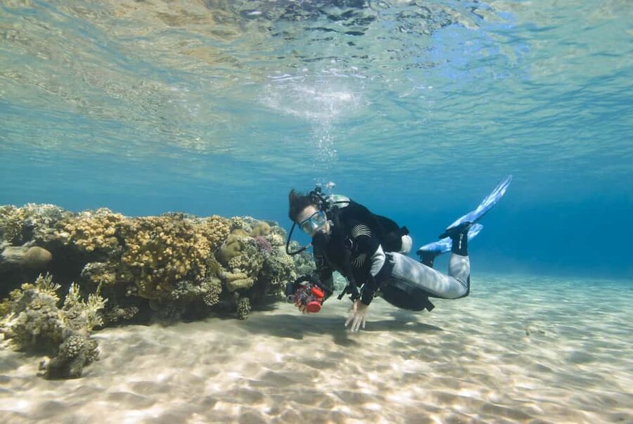 Hurghada: Beginners Scuba Diving Full-Day Boat Trip & Lunch - Snorkeling stops: the easy win for sea views and confidence