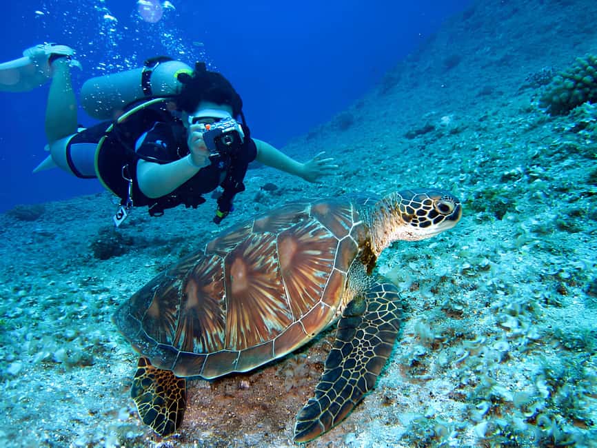 Hurghada: Beginners Scuba Diving Full-Day Boat Trip & Lunch - Cost and value: is $30 a good deal?