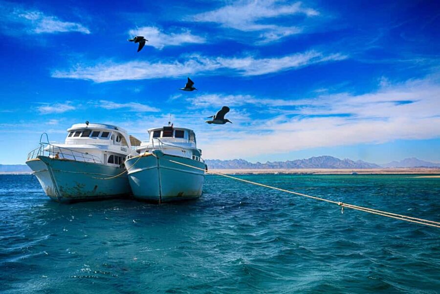 Hurghada: Beginners Scuba Diving Full-Day Boat Trip & Lunch - Who this trip fits best (and who should skip it)