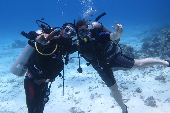 Hurghada Daily Scuba Dive Trip - Getting Picked Up: The Boat Morning Setup You’ll Appreciate