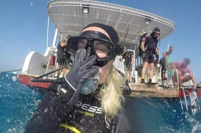 Hurghada Daily Scuba Dive Trip - Price and Timing: What $60 Covers and Why It’s a Good Deal