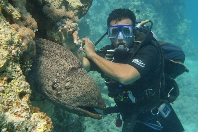 Hurghada Daily Scuba Dive Trip - First-Timers: Your Lesson Plan Before You Go Over the Side