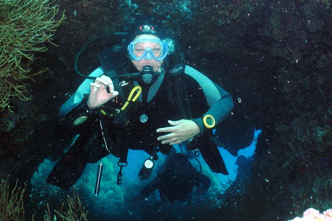 Hurghada Daily Scuba Dive Trip - Two Underwater Sites: How They Choose Where You Go