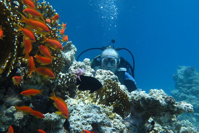 Hurghada Daily Scuba Dive Trip - Safety and Crew Handling: Why This Trip Feels Solid