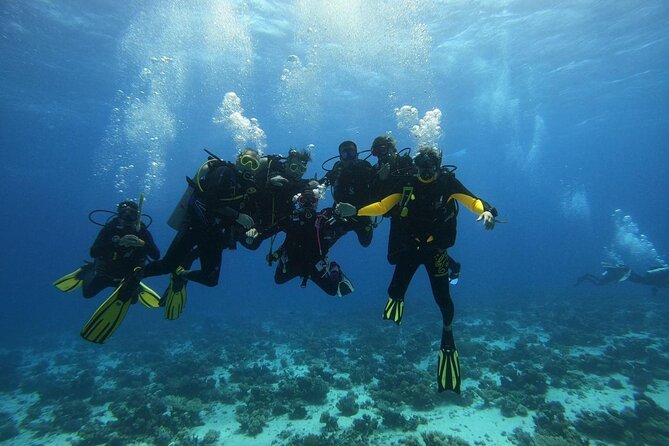 Hurghada Diving Adventure one Day with two Dives Boat Trip - Where You’ll Spend Your Time: Boat Sessions, Lunch Breaks, and the On-Board Rhythm