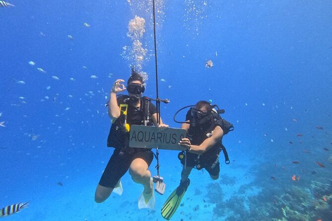 Hurghada Diving Adventure one Day with two Dives Boat Trip - Timing, Weather, and How to Prep Without Overthinking
