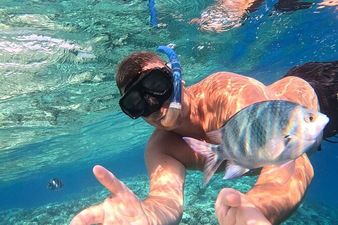 Hurghada Diving Adventure one Day with two Dives Boat Trip - What You Actually Get: Lunch, Drinks, Equipment, and Extra Fees