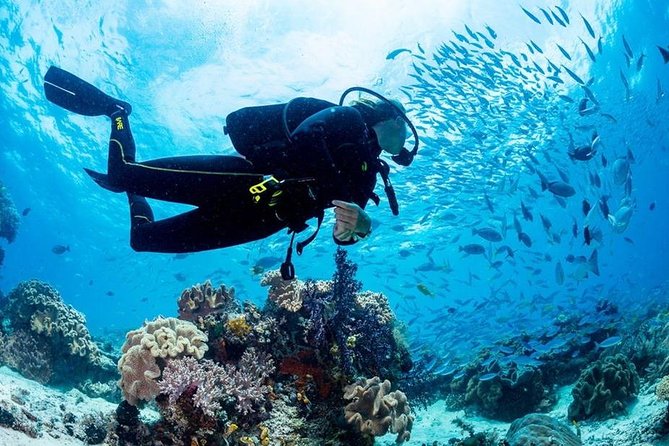 Hurghada: Full-Day Diving Tour with Lunch & Two Dive Sites - Your Day’s Flow: Two Underwater Sessions With Lunch Between