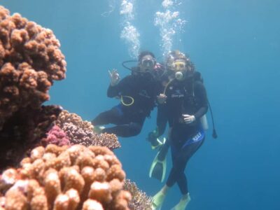 Hurghada: Full-Day Scuba Diving Tour with 2 Sites and Lunch - Pickup window and getting to the bay (what to expect)