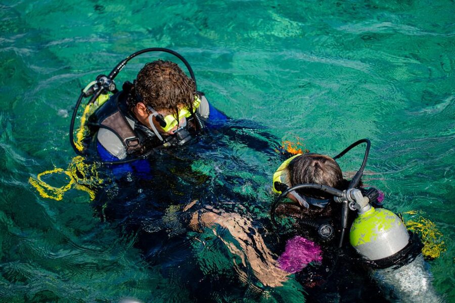 Hurghada: Full-Day Scuba Diving Tour with 2 Sites and Lunch - Beginner option vs certified option: choose the right comfort level