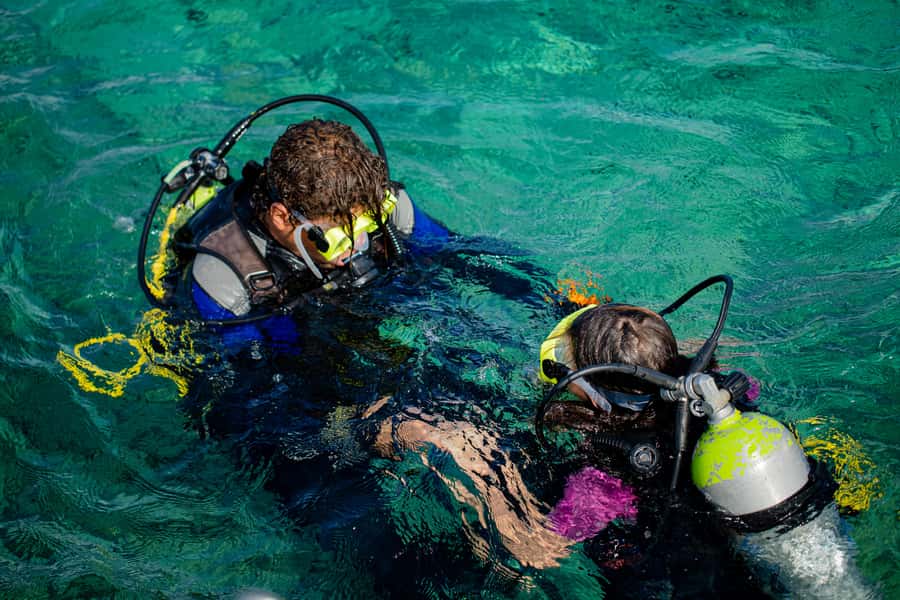 Hurghada: Full-Day Scuba Diving Tour with 2 Sites and Lunch - Lunch on board and non-alcoholic drinks: a real part of the value