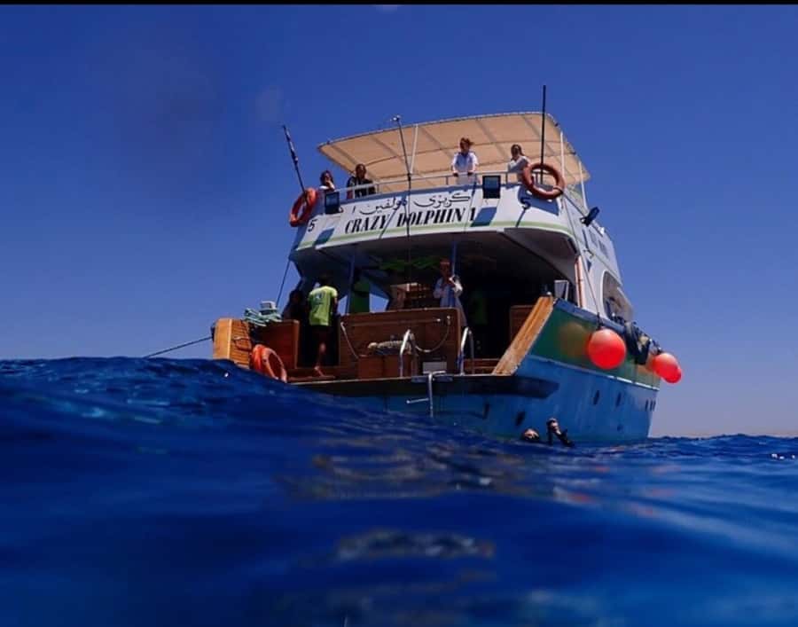 Hurghada: Full-Day Scuba Diving Tour with 2 Sites and Lunch - Safety focus: what “professional” looks like in practice