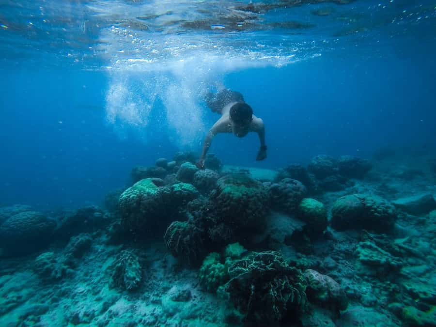 Hurghada:Luxury Diving & Snorkeling inc/Island/Lunch/Massage - Key highlights worth planning around