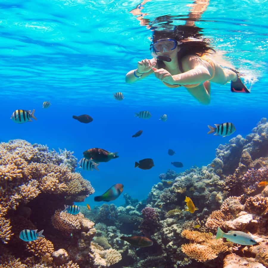 Hurghada:Luxury Diving & Snorkeling inc/Island/Lunch/Massage - Orange Bay Island: The Part That Makes the Day Feel Like an Escape