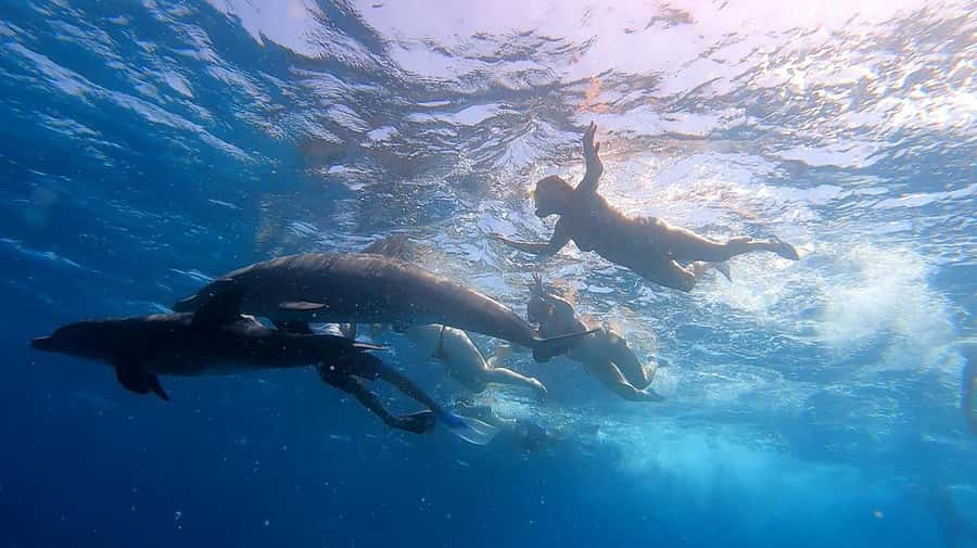 Hurghada: Orange Bay Snorkeling cruise and optional diving - Lunch and Drinks: Buffet Food That Doesn’t Feel Like an Afterthought
