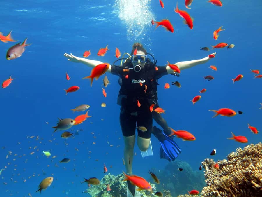 Hurghada: Orange Bay Snorkeling cruise and optional diving - Hygiene Standards: The Most Praised Part for a Reason