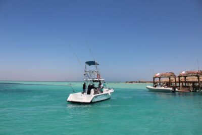 Hurghada: Orange Bay Snorkeling with Lunch & Optional Diving - Choosing your boat: yacht cruise comfort vs speedboat pace