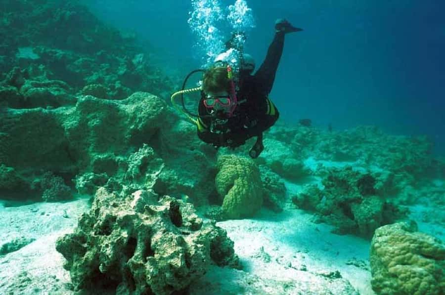 Hurghada, Professionals Diving in Open Water Tour with Lunch - Hurghada Red Sea Open-Water Scuba: The 8 Hours That Actually Make Sense