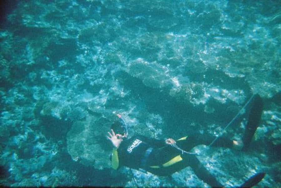 Hurghada, Professionals Diving in Open Water Tour with Lunch - Price and What You Really Get for $72 (Including the Cash Part)